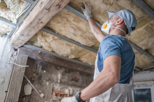 Best Types of Insulation in West Pensacola, FL
